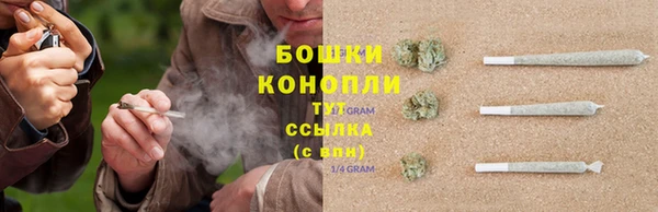 спиды Арсеньев