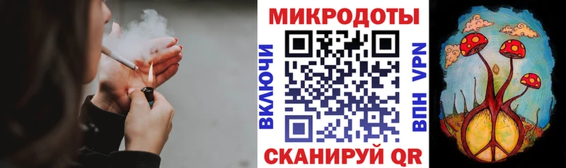 Галлюциногенные грибы мицелий  Кологрив 